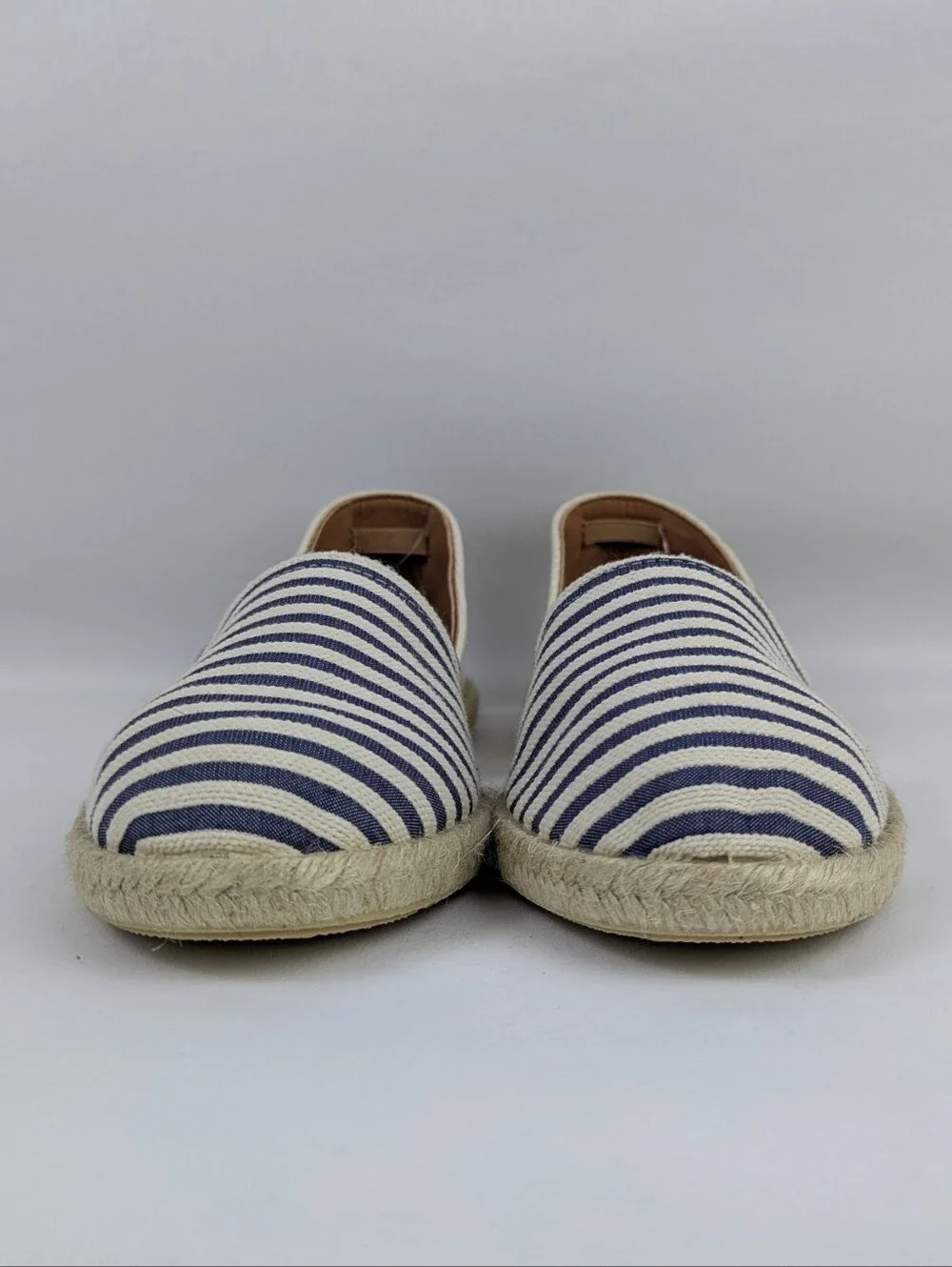 Verbenas cotton canvas
